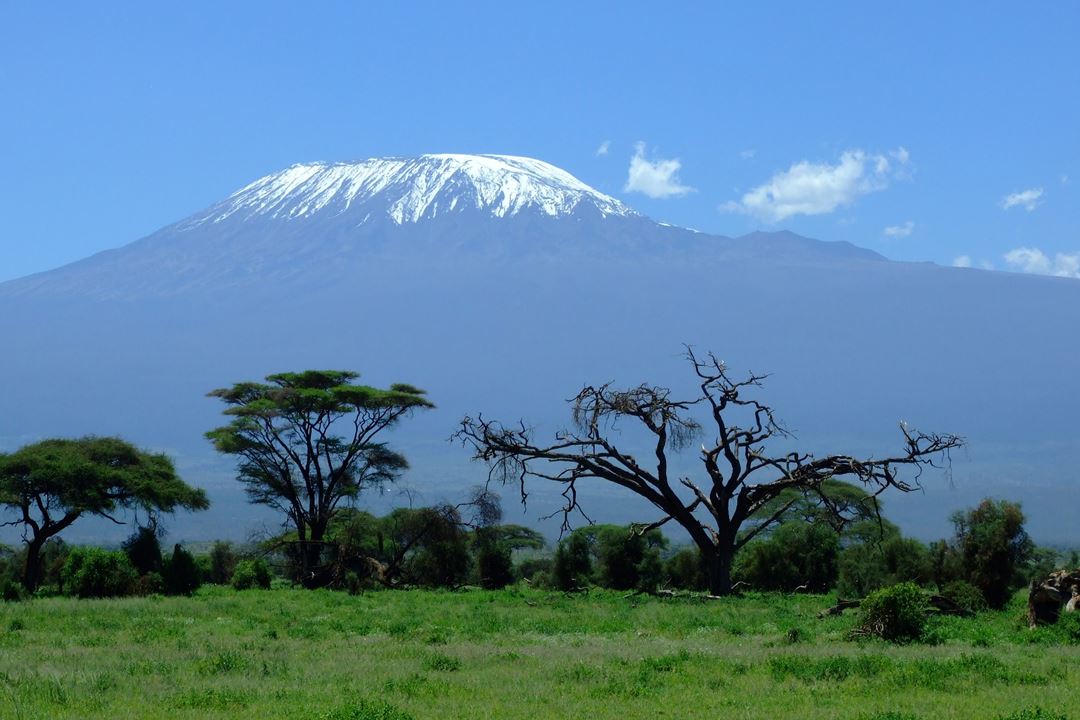 Kilimanjaro 1025146(3Rd Party)