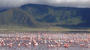 16. Ngorongoro Flamingo Lake