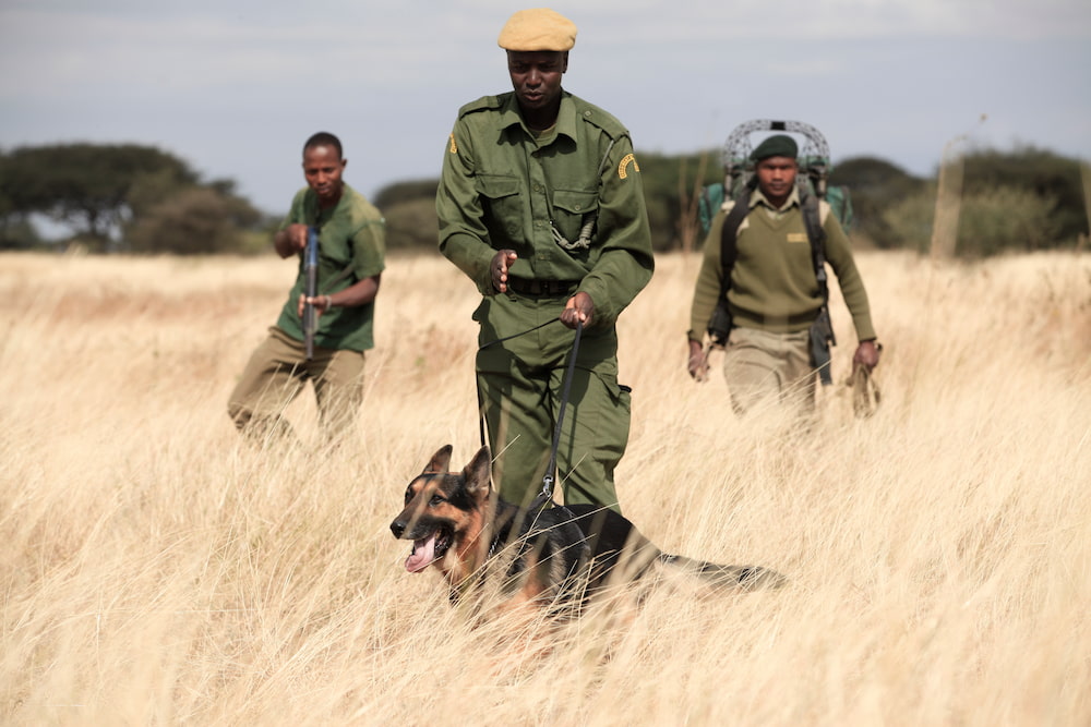 A patrol unit stays alert for both poachers and predators