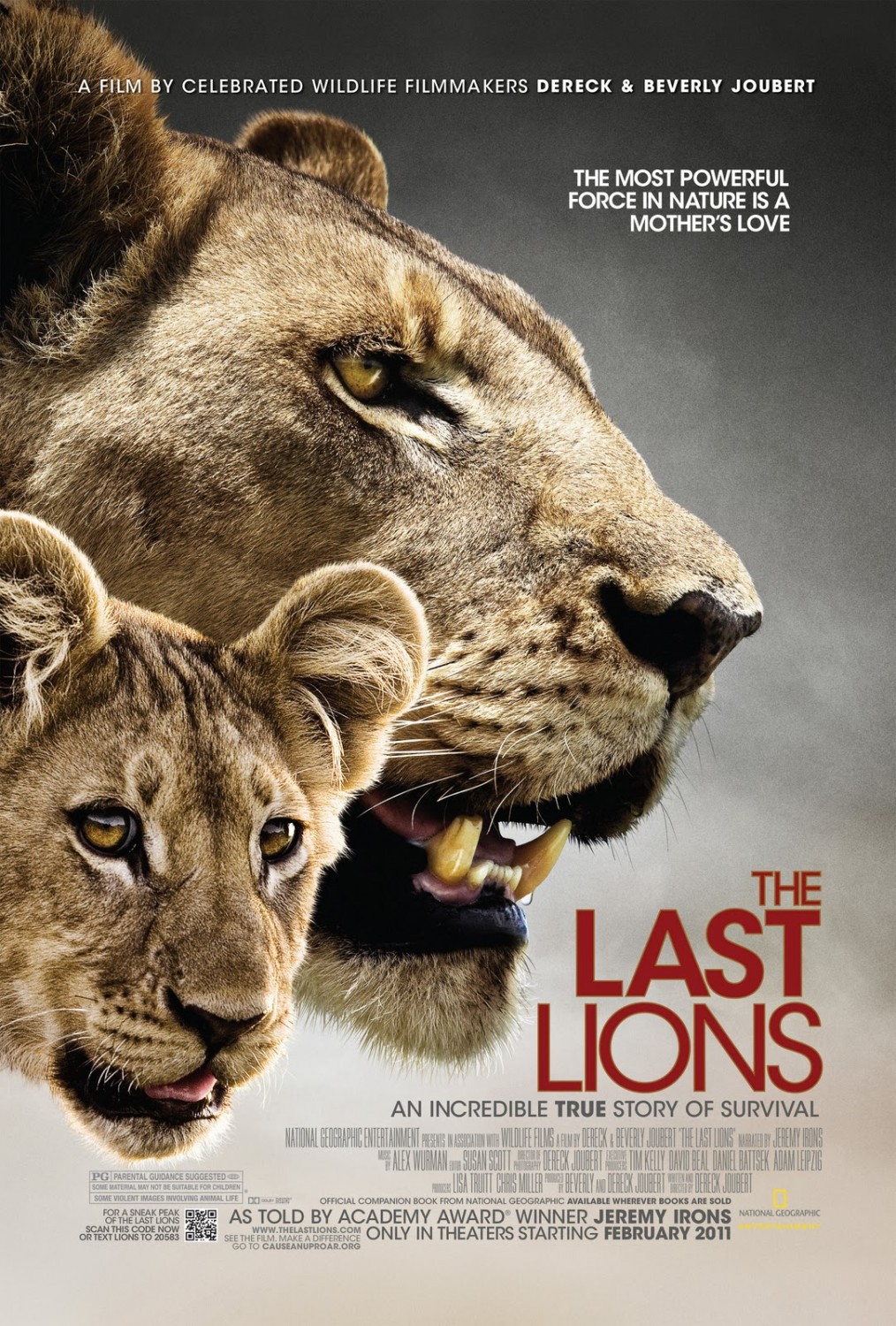 lion movie download in hindi movies counter