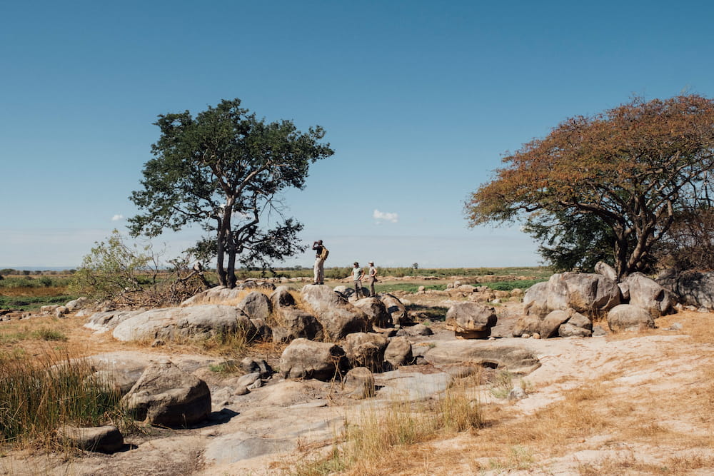 Exploring the open plains of Ruaha National Park in October