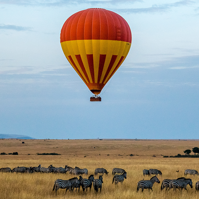 Hot-air balloon safaris