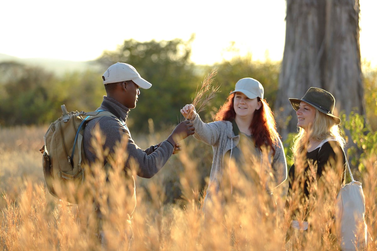 13. Jabali Walking Safari, Guests Learning About The Vegetation In The Area