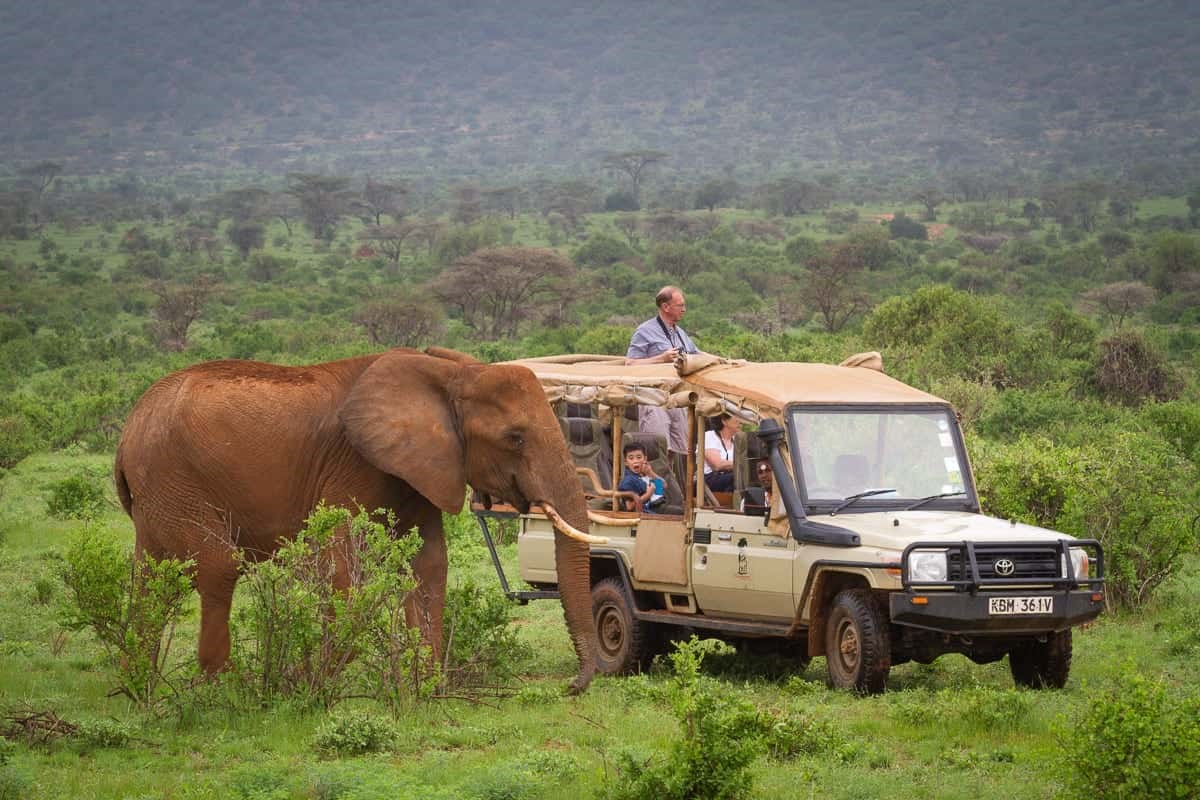 13. Elephant Bedroom Camp Samburu (45)