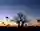 Usangu — Beautiful Sunset Over The Plains