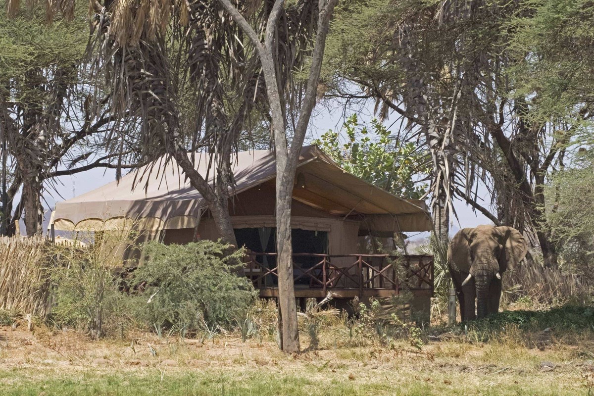 2. Elephant Bedroom Camp Samburu (28.) (Resized)