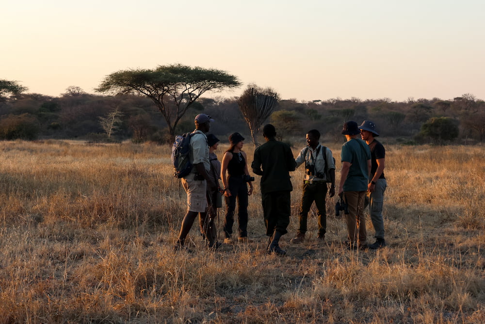 A walking group stops to discuss a point of interest in the soft morning light