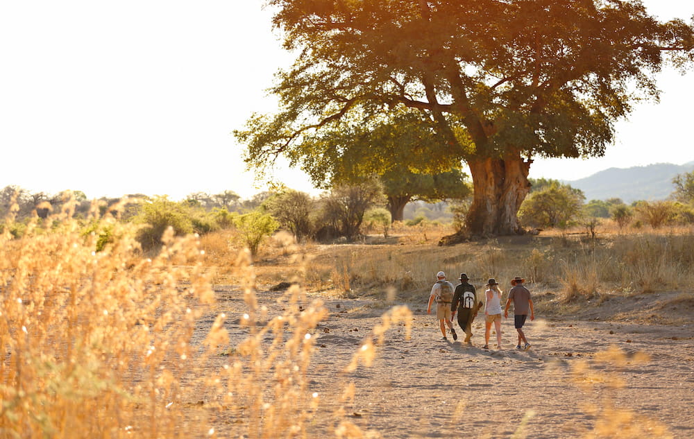 Walking the dry river bed in Ruaha National Park