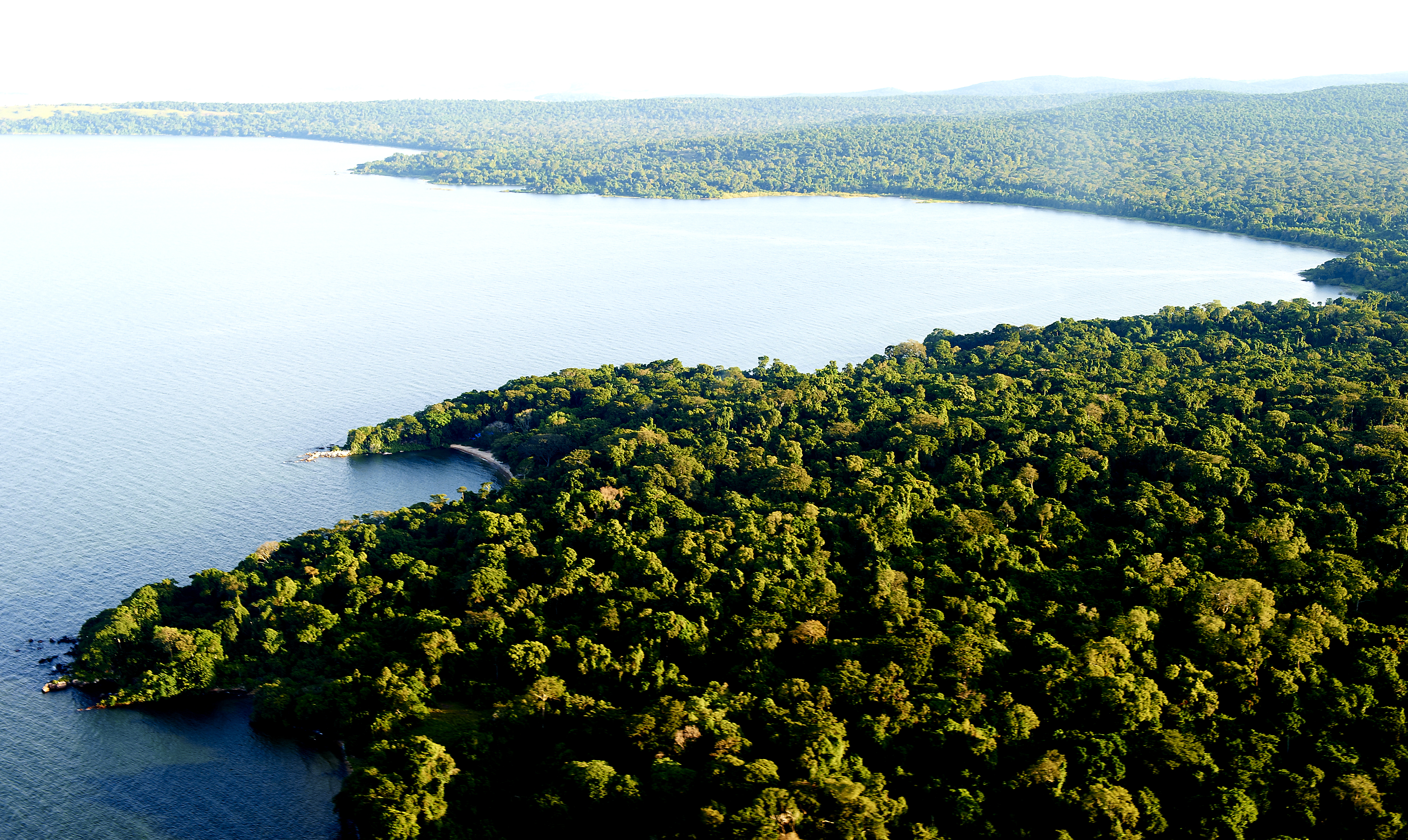 Восточно африканские озера. Рубондо Айленд Танзания национальный парк. Озеро Танганьика национальный парк.