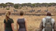 Tarangire National Park Walking Safari Zebras