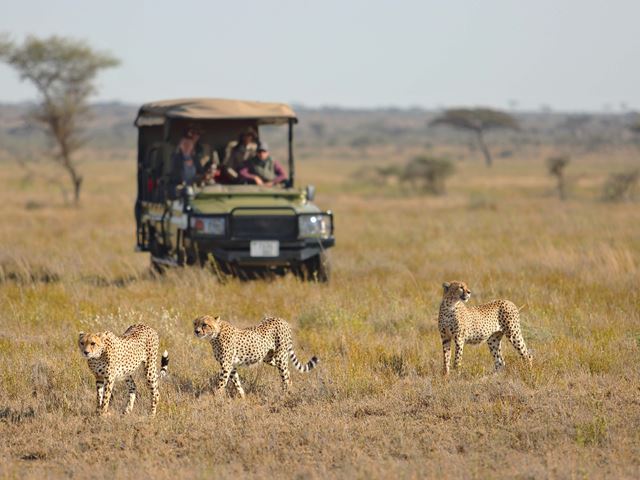13. Namiri Plains Game Drive With Cheetah
