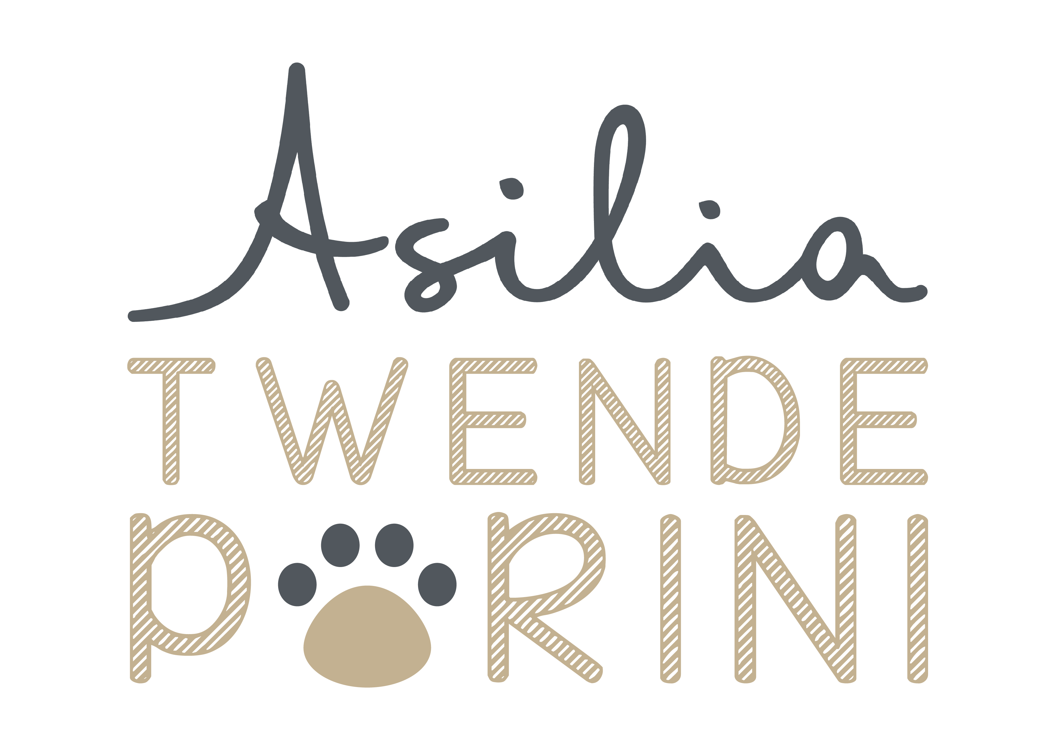 The Asilia Twende Porini logo