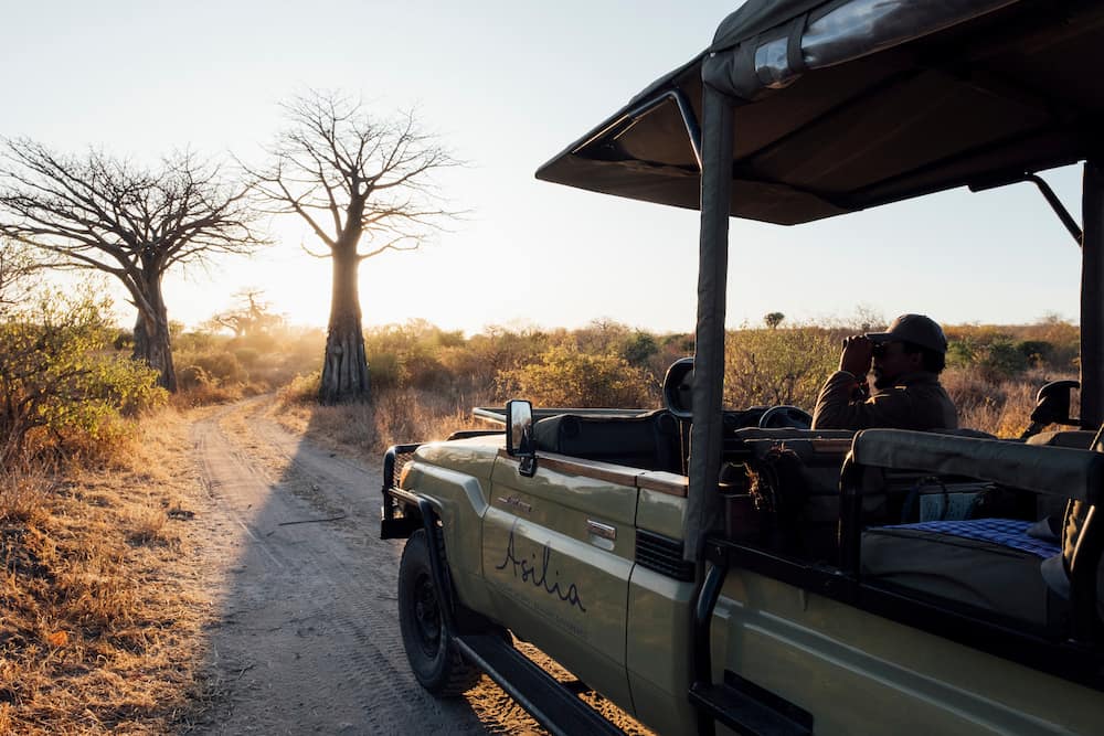 Open vehicle game drives in Ruaha National Park.