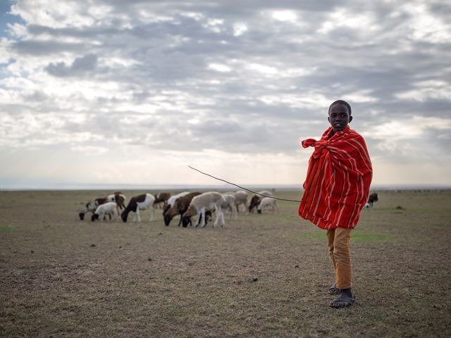 Eastern Serengeti Livestock Encroachment Unit