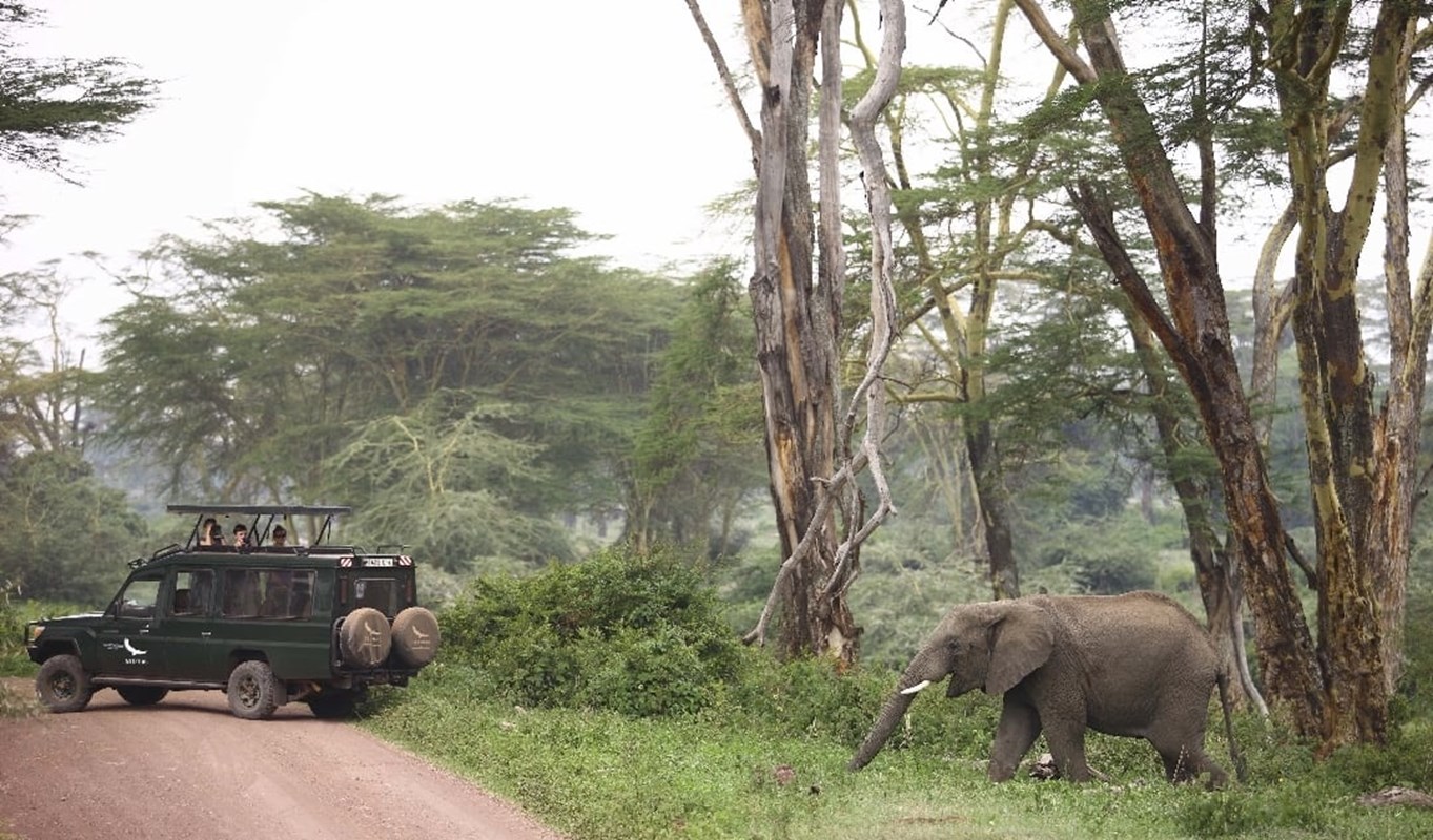 15. Game Drive Andbeyond Ngorongoro Crater Lodge 1