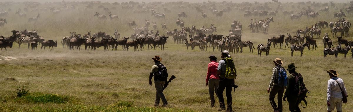 Walk Among the Great Migration