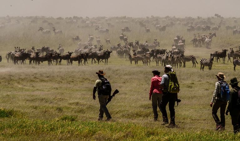 Walk Among the Great Migration