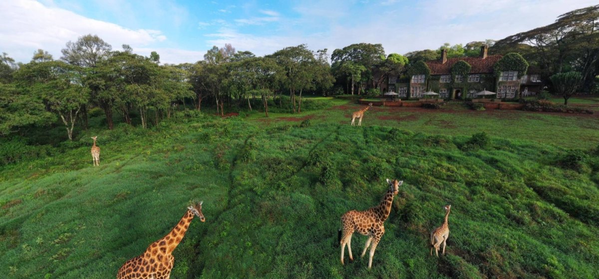 Giraffe Manor Virtual Tour