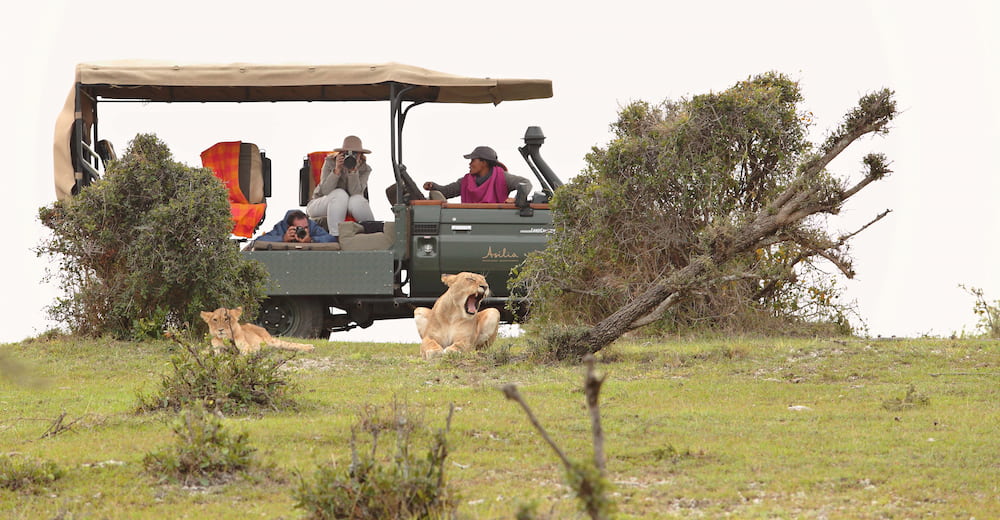 Guiding guests in the photographic vehicle.