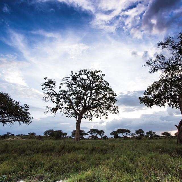 Visit to Nairobi National Park