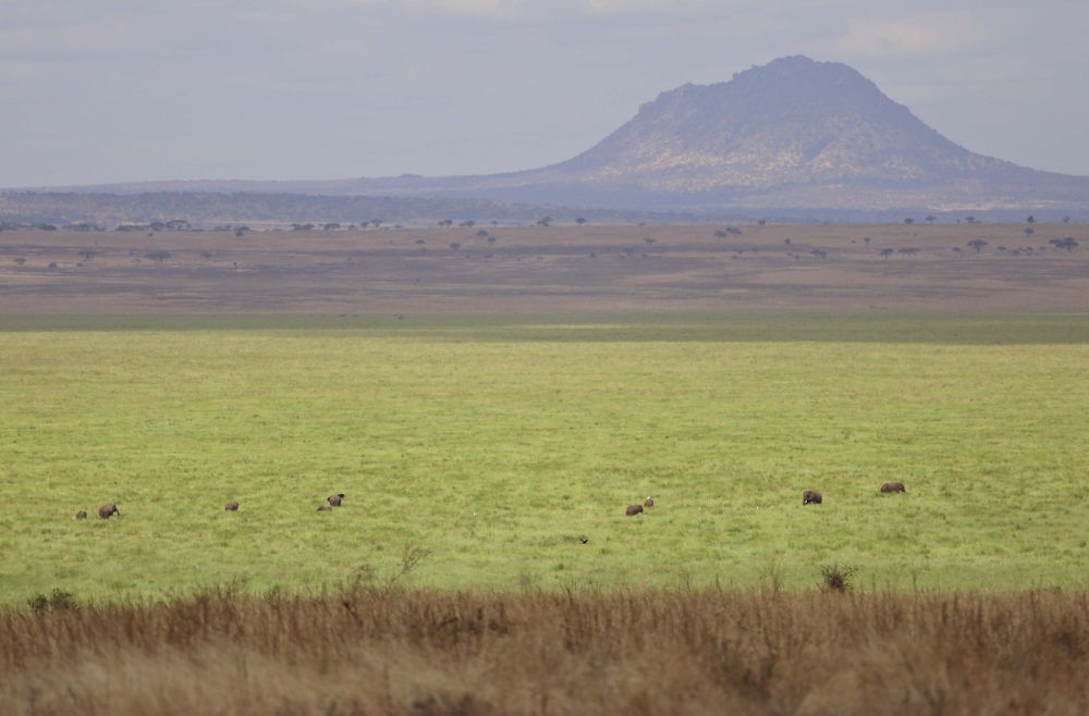 The flood plains of the Silale Swamp in Tarangire National Park.