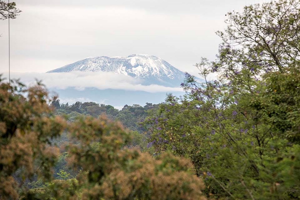 Uitzicht Kilimanjaro <5MB