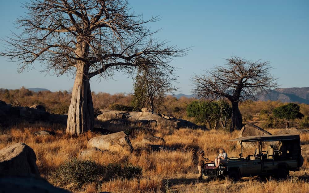 The landscape of Ruaha National Park is dotted with baobab trees.