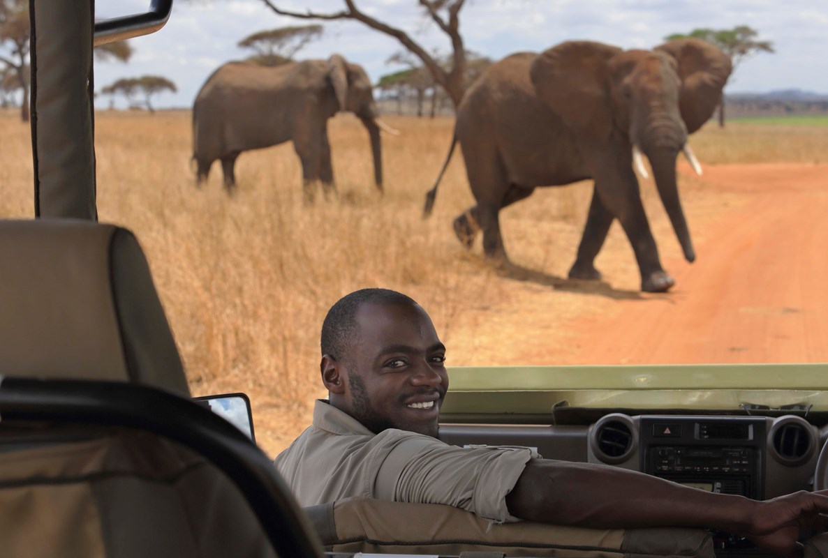 9. Little Oliver's Game Drive