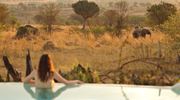 9. Sayari Swimming Pool Watching Elephants Landscape