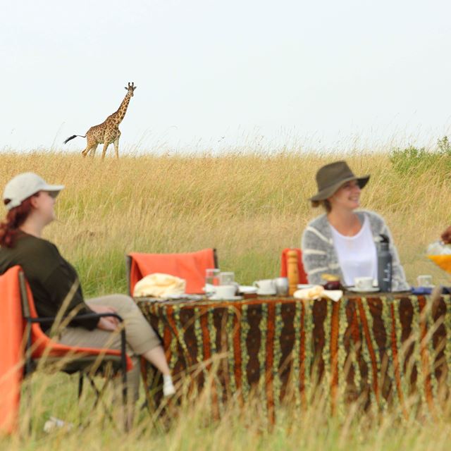 Olakira Bush Breakfast With Giraffe In The Background