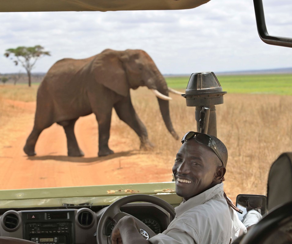 10. Oliver's Game Drive.