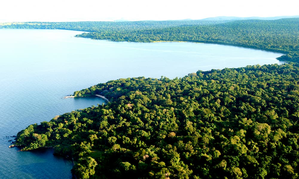 From the air, it becomes clear how much of Rubondo Island is covered by forest.