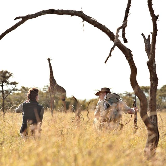 Naboisho Walking Watching Giraffe