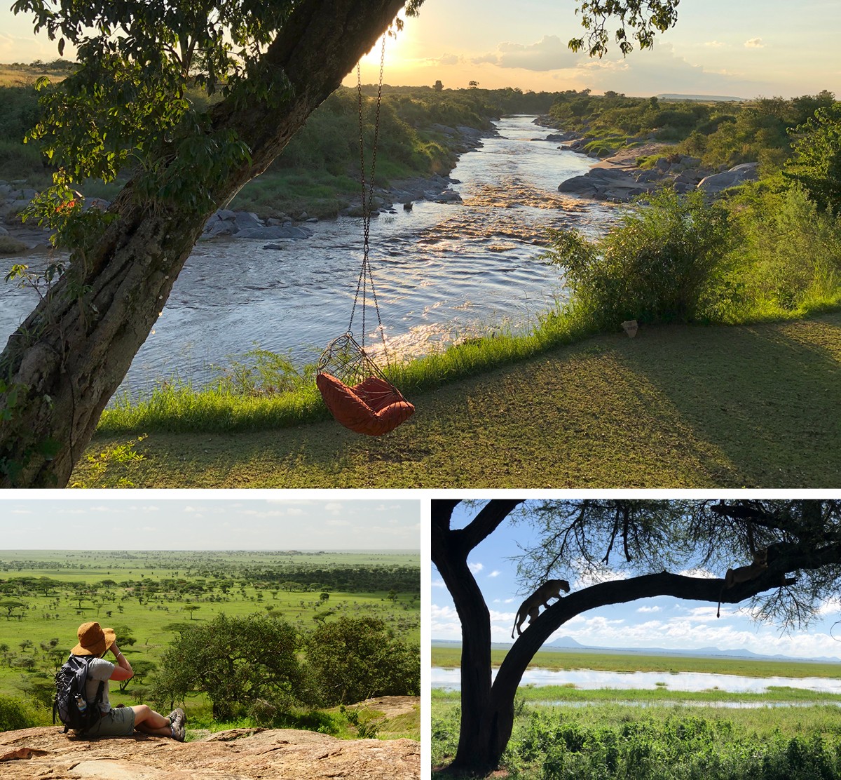 The Talek River from Rekero Camp, views over the Naboisho Conservancy, and a leopard in a tree in Tarangire National Park