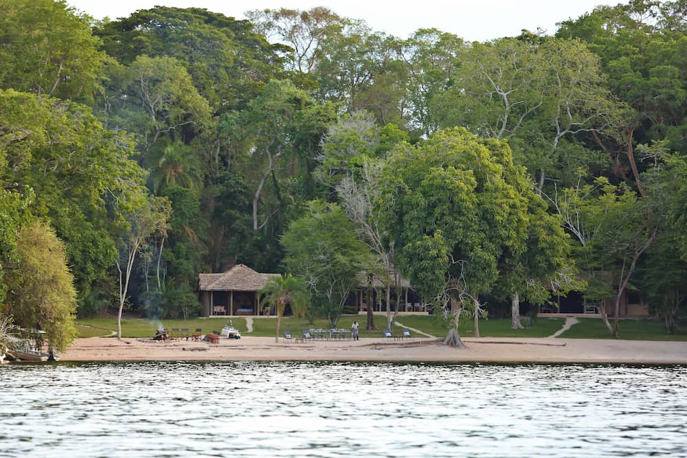 Rubondo Island Camp sits between a small sandy beach and the dense rainforest.
