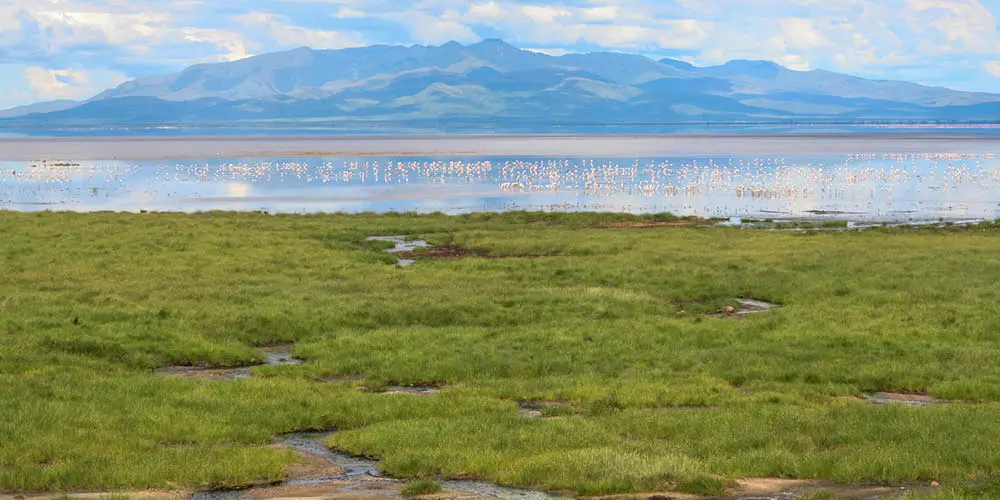 birds and mountains in the distance over Lake Manyara