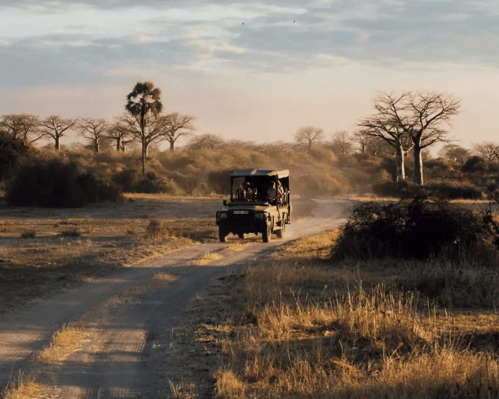 asilia africa safari vehicle driving along a dusty road at sunrise in southern tanzania