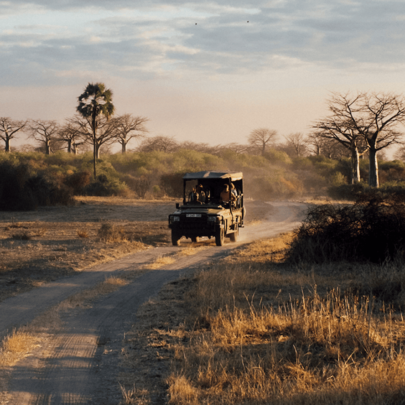 asilia africa safari vehicle driving along a dusty road at sunrise in southern tanzania