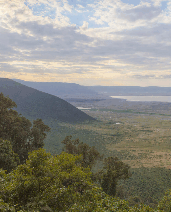 The view over the Ngorongoro Crater in the Ngorongoro Conservation Area.