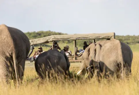 Twende Porini children’s eco education