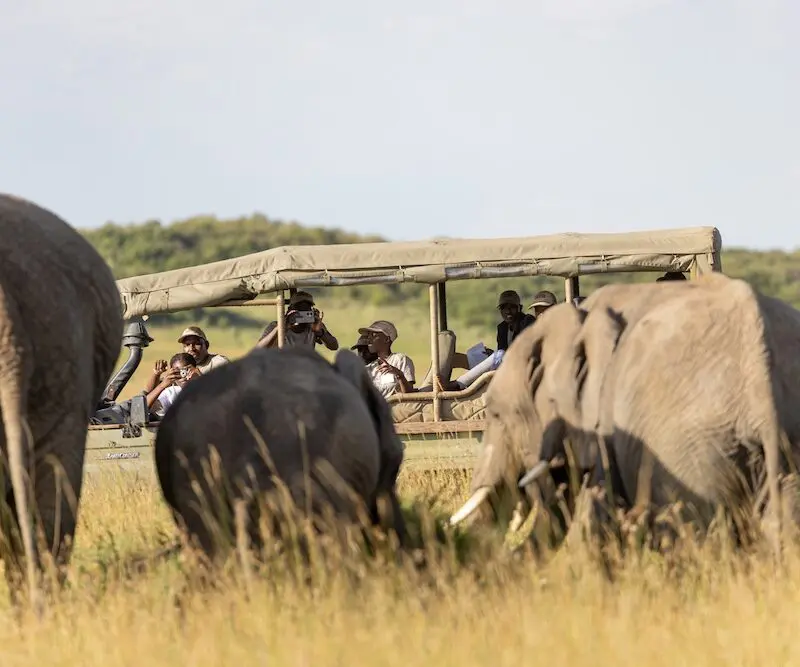 Twende Porini children’s eco education