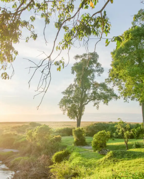 The deck area at Rekero overlooking the river bend at sunset