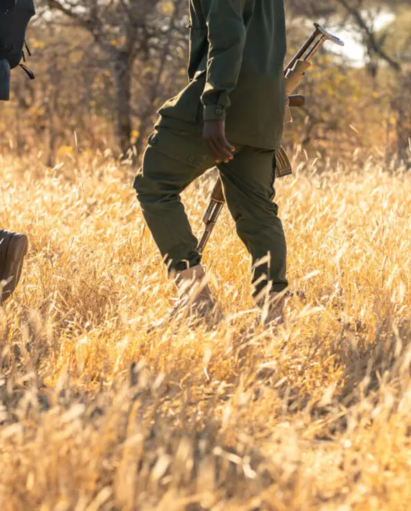 Guests and guides walk through tall, golden grass