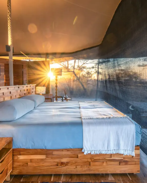 A tent interior showing a double bed and the view through the net sides