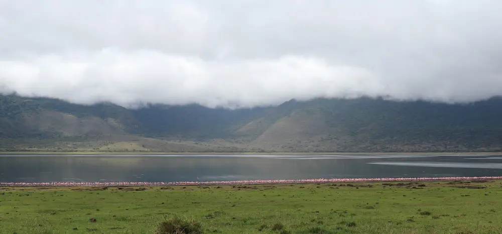 Pink flamingo lining the Empakaai Crater lake