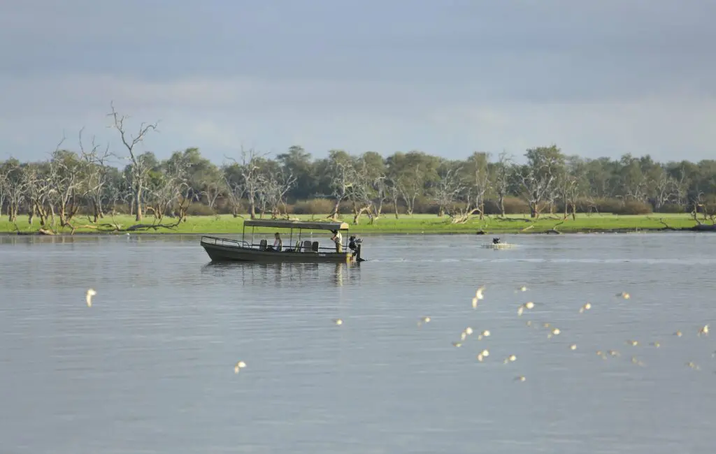 A boating safari in Nyerere