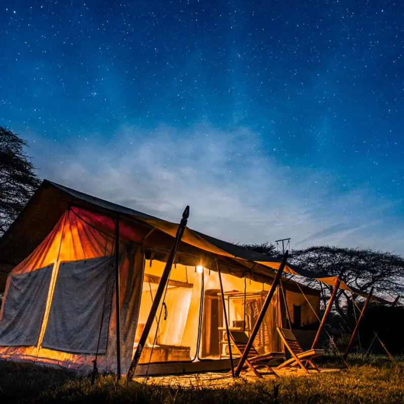 A tented safari camp beneath a glittering African sky