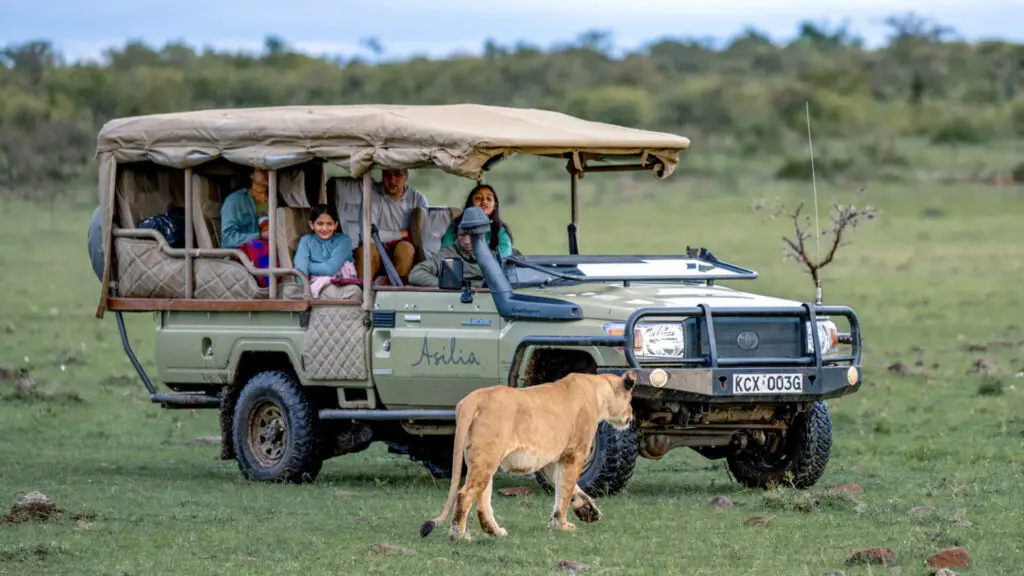 A family on safari spotting a lioness