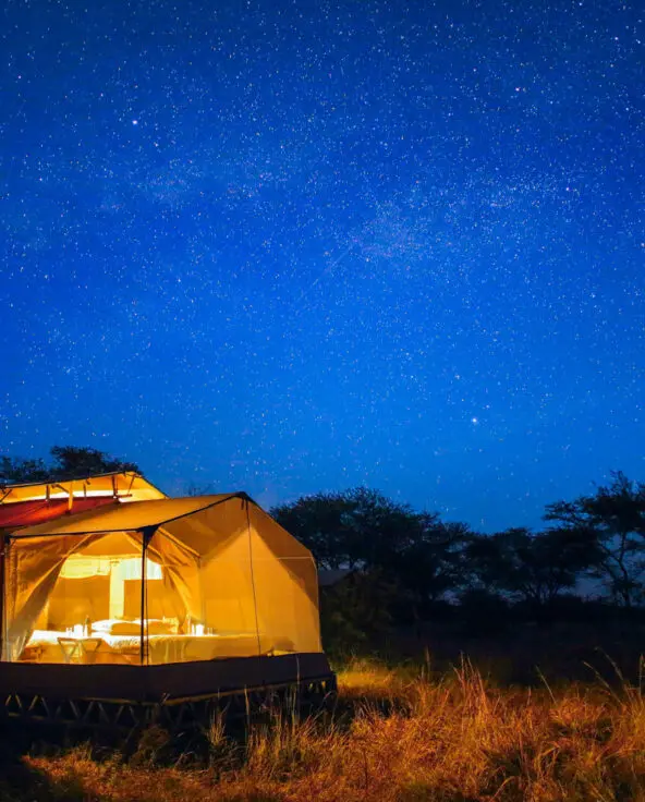 Olakira's unique star beds