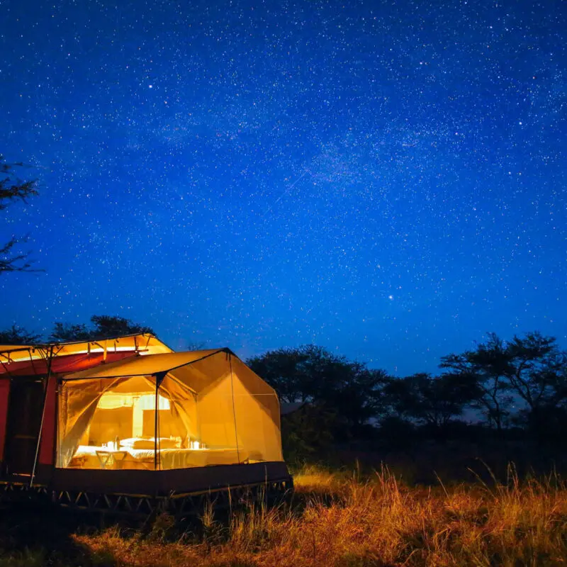 Olakira's unique star beds